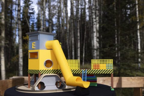 Our Year at a Glance 3 256 Trevor Carter photographer D Angelo Photography